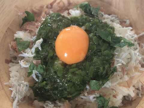 簡単しらす丼